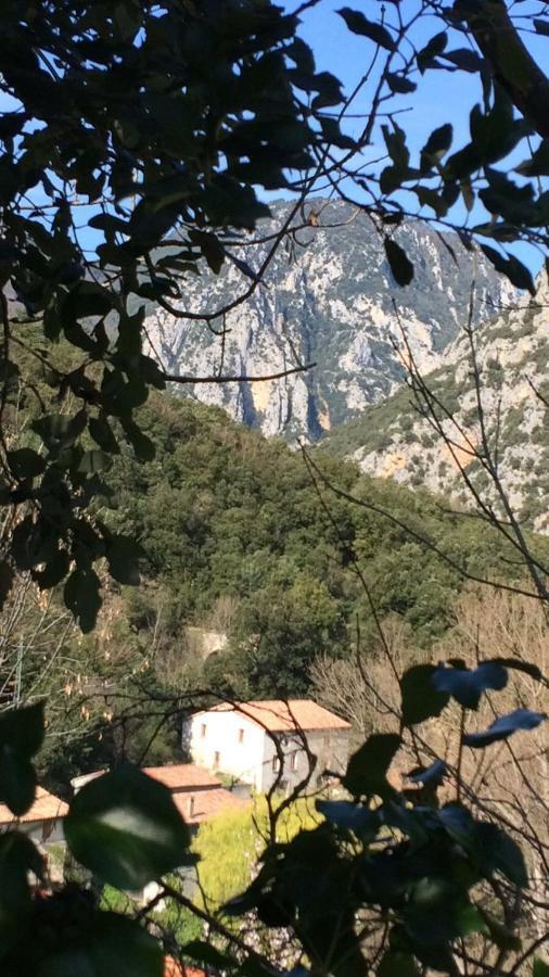 Aude Escape Bed and Breakfast Saint-Martin-Lys Exterior foto